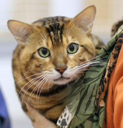 Kuva: Heikki Siltala