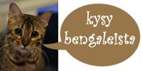 Kysy bengaleista