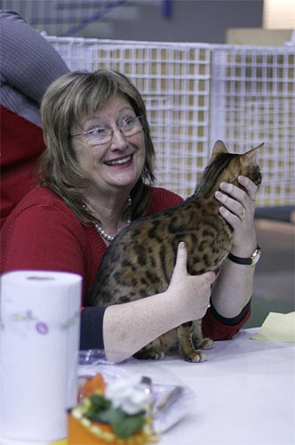 CattiCartanon Sugar Panther, Seppo